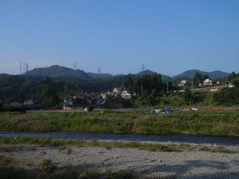 河川公園を離れると、自然な感じに