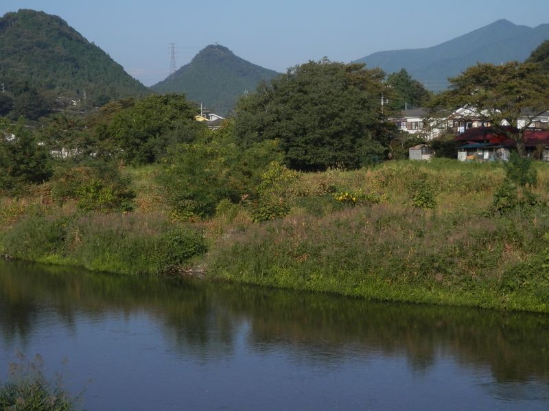 魚が棲んでいそうな雰囲気になってきた
