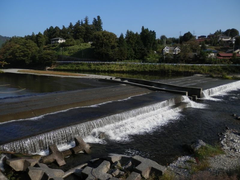 中央に魚道がある