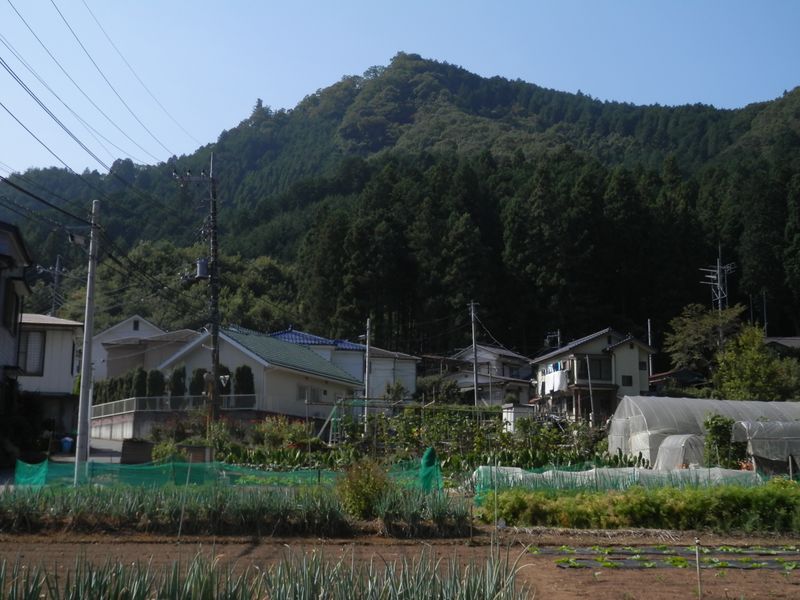 西戸倉から、城山を見上げる