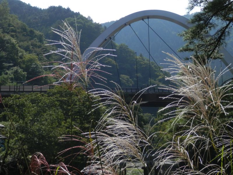 瀬音の湯から、新矢柄橋に向かう