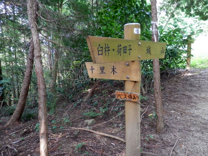 ここから十里木に下る