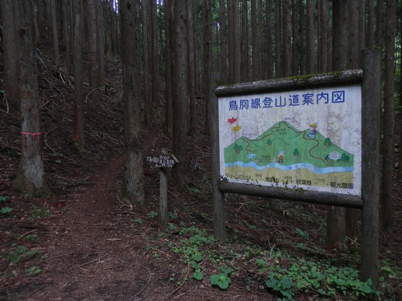 これより鳥ノ胸山登山道
