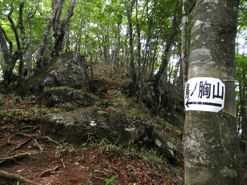 鳥ノ胸山 -- 大きなゼッケン