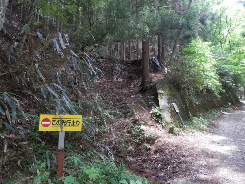 鳥ノ胸山 -- 登山路終点