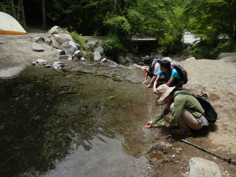 道志の森キャンプ場