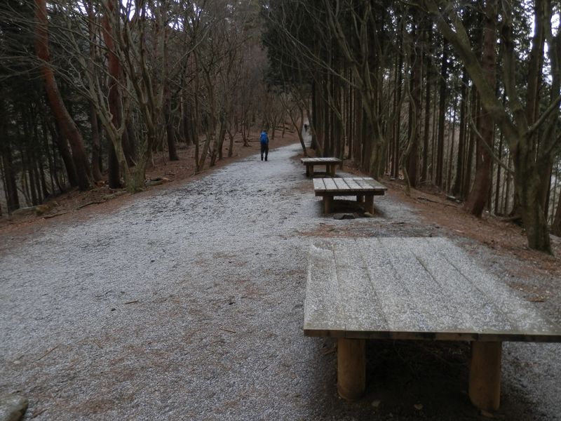 一本松の先のベンチにて