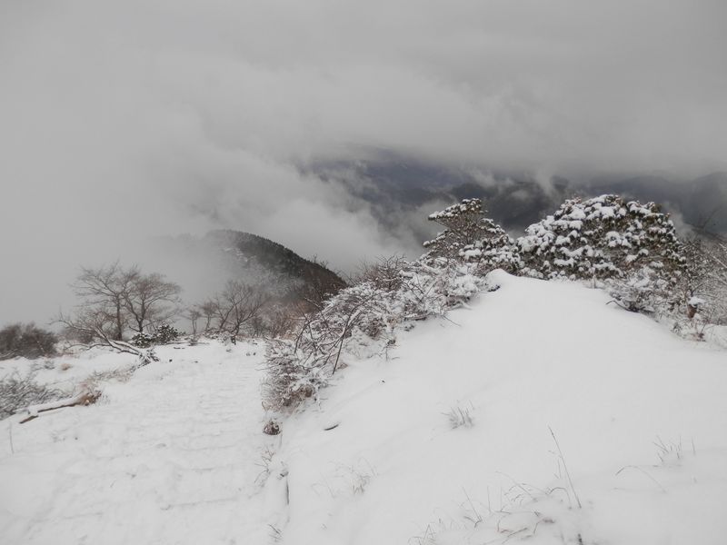 花立山荘直下の階段より、背後を振り返る