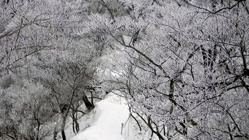 金冷シ手前の馬の背付近