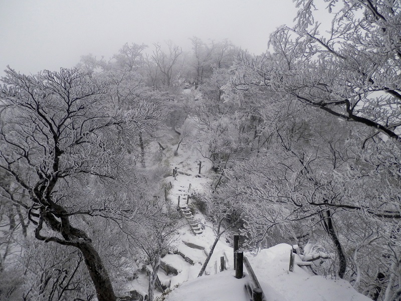 崩壊地の上より