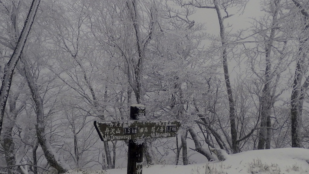 日高で引き返す