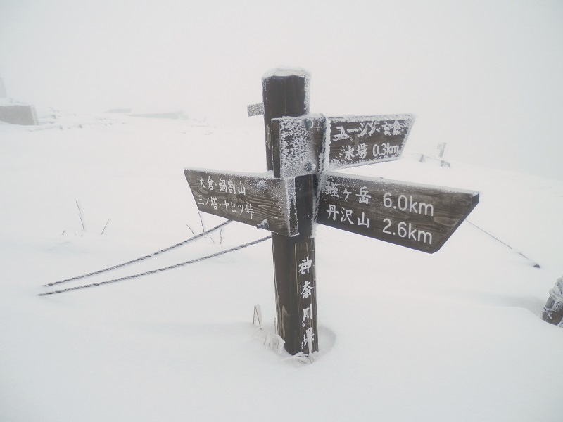 塔ノ岳に戻って来た