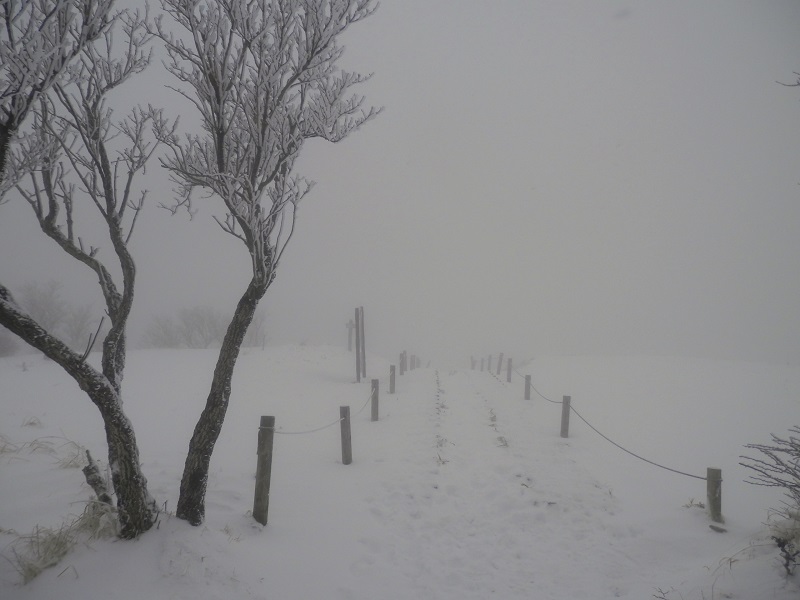 晴れていれば海が見える花立