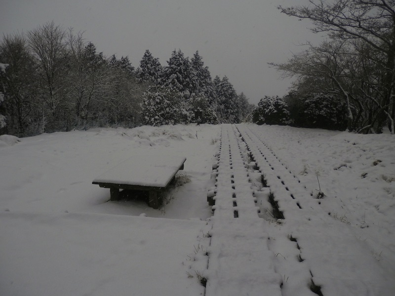 萱場平に戻ってきた