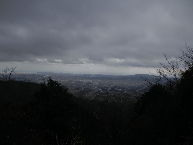 湘南平野には明るい陽射し