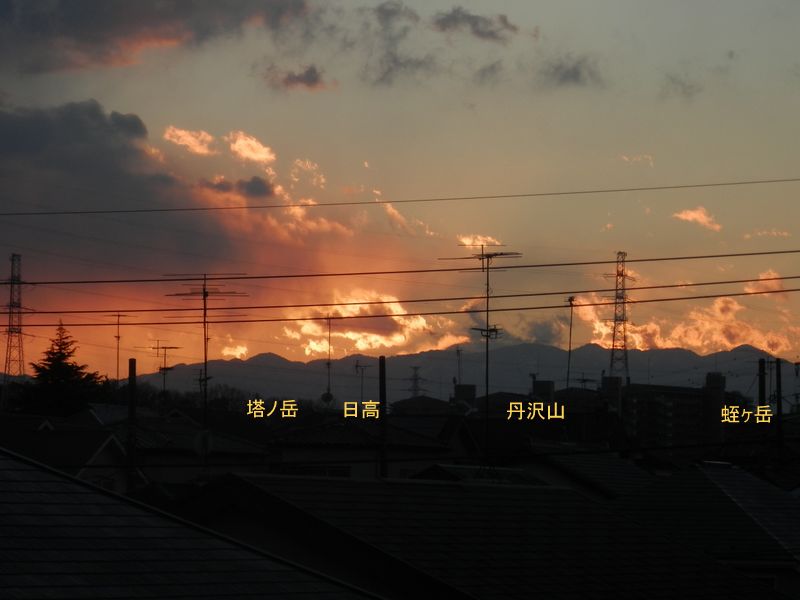 p2097257.jpg (large)