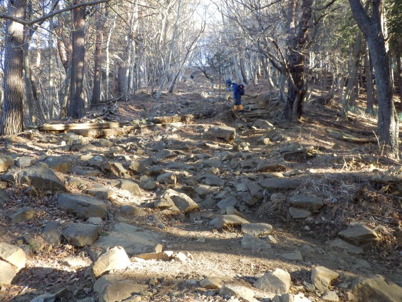 大倉尾根、最初の急登