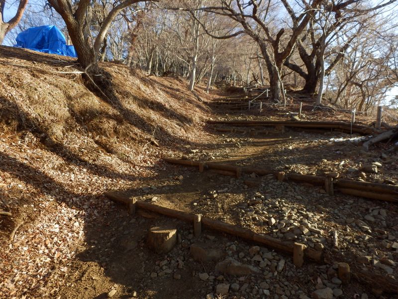 まだ雪が見られない