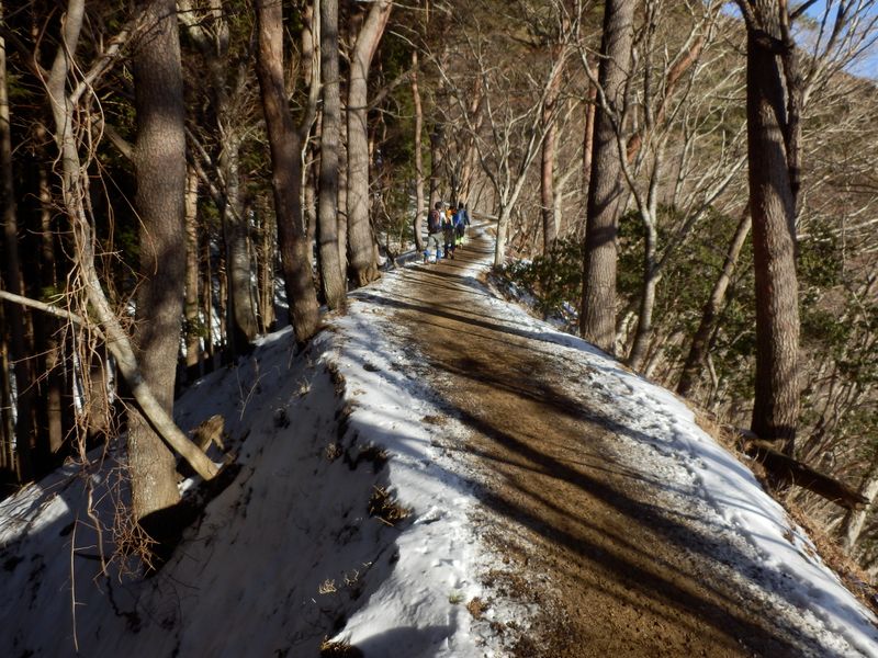 大倉尾根のハイウェイ区間