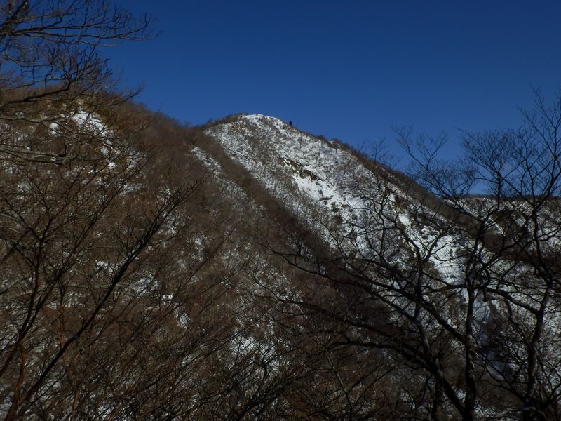 馬の背より、塔ノ岳を望む