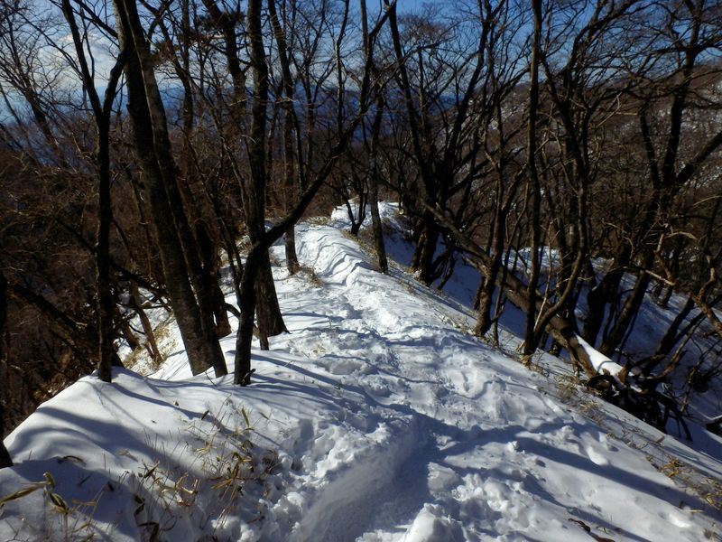 鍋割山稜方面のトレース