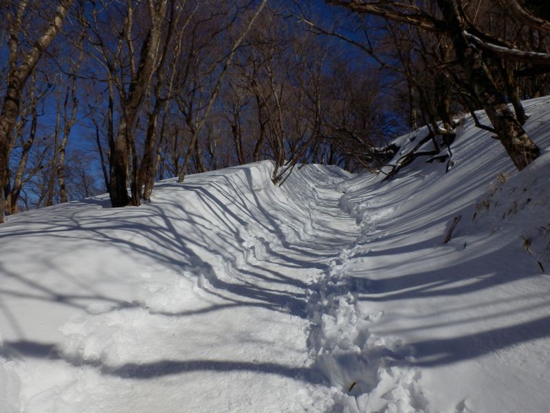 金冷シから山頂に向かう