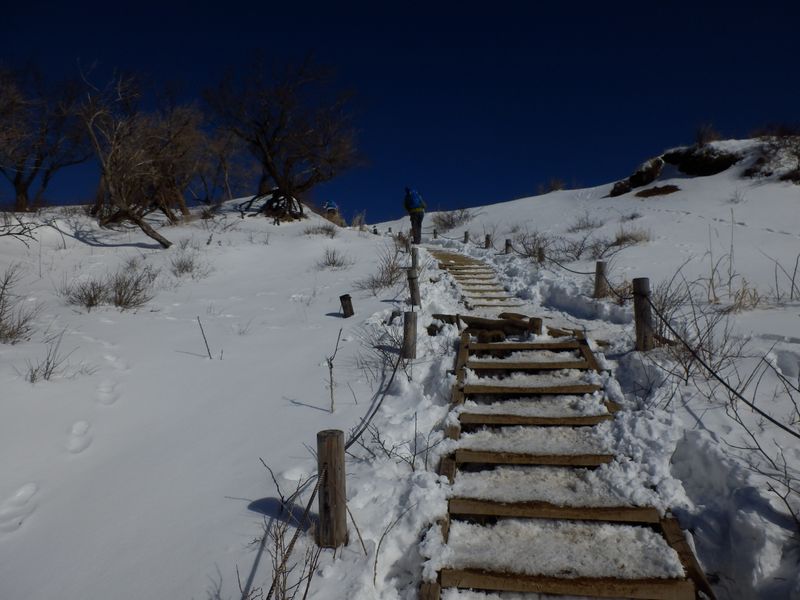 塔ノ岳山頂まであと2分