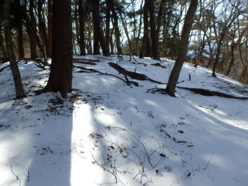 堀山山頂（小草平）