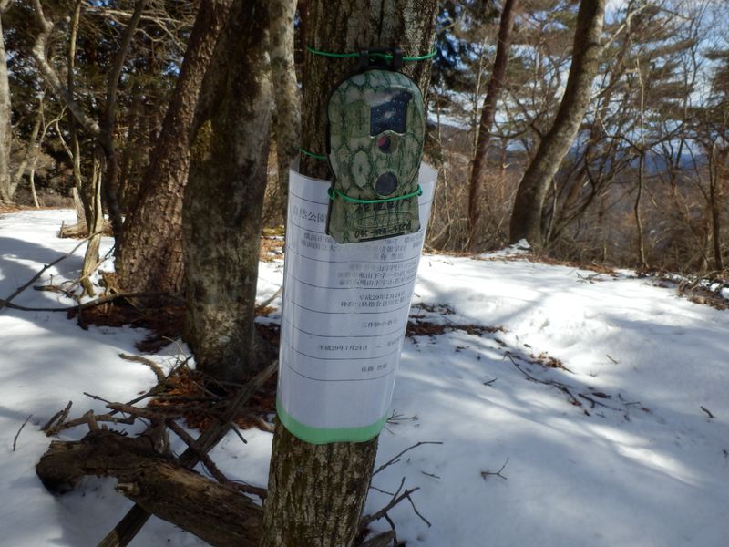 横浜国立大学による、多様性調査