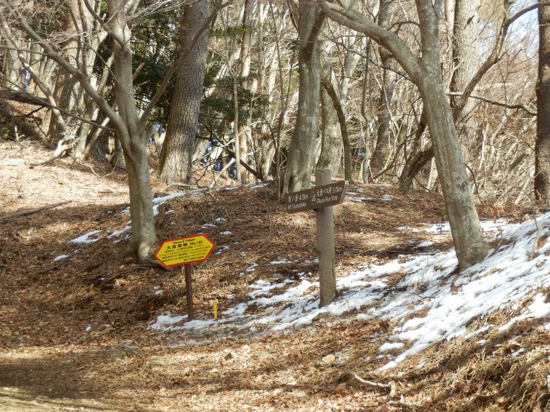 一本松でアイゼンを外した