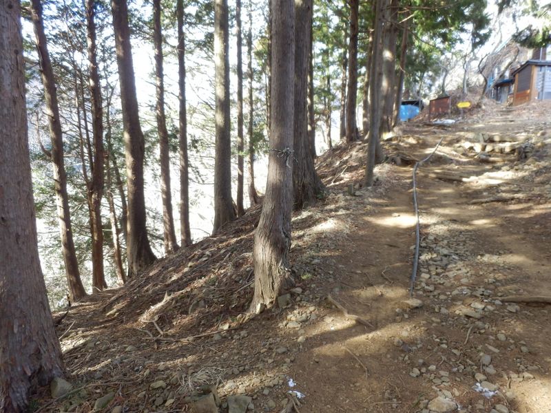 左の作業道はどこへ通じている？