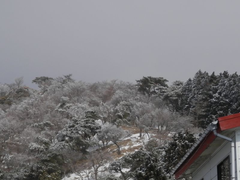 花立あたりから霧氷が見られそう