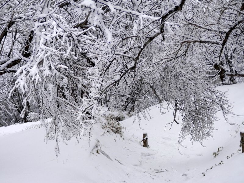塔ノ岳から、北に向かう
