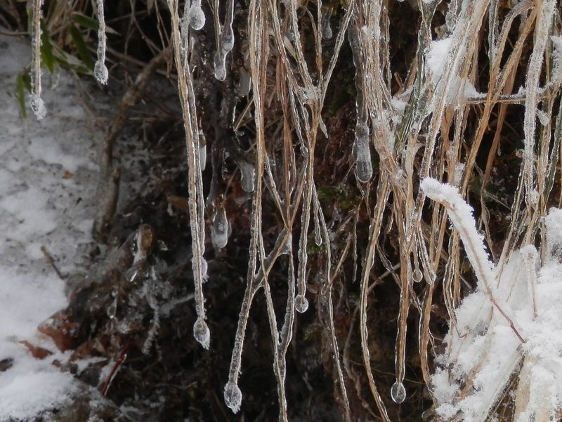 凍りついたしずく