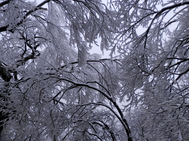 空が青かったらなあ