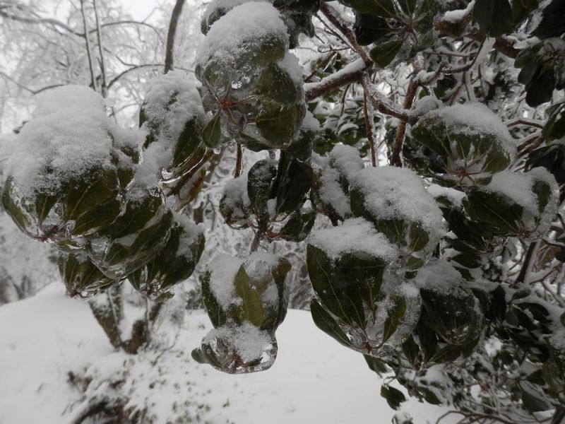 大きなガラス玉"