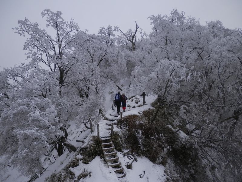 崩落地にさしかかる