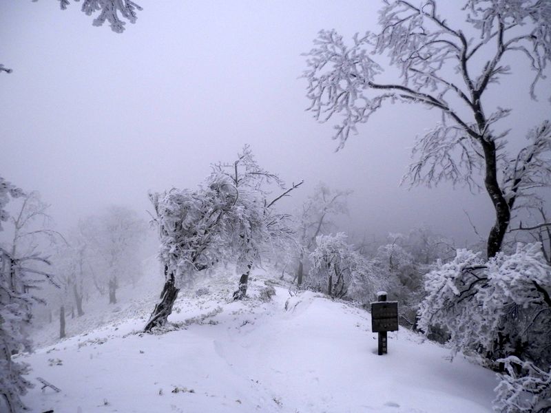 丹沢山方面への展望なし