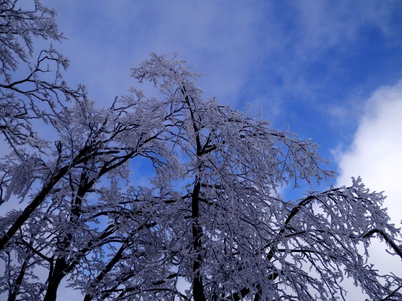 青空が流れてきた