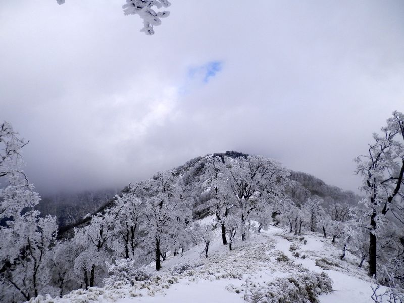 丹沢山に小さな青い窓が