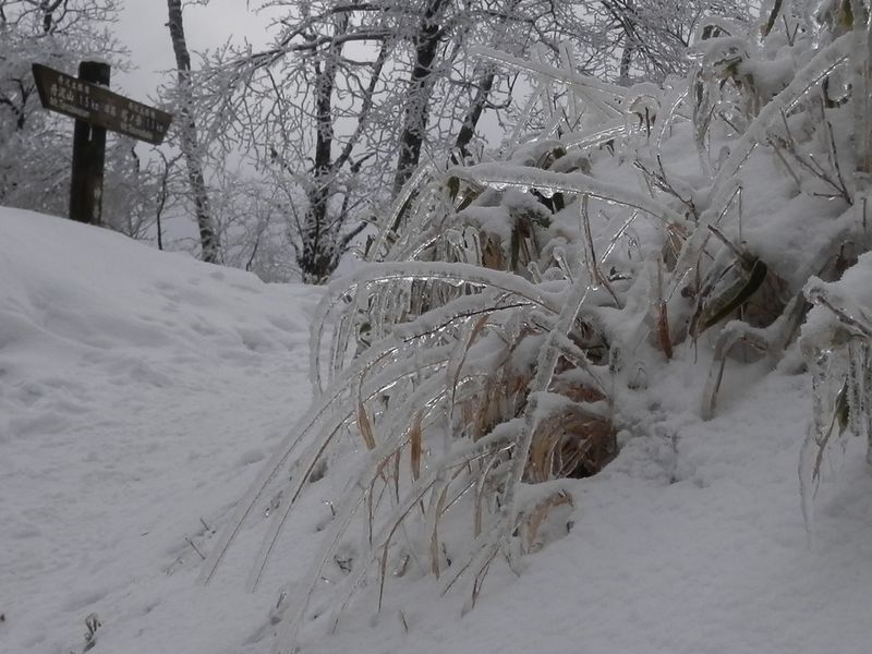日高での昼食タイム