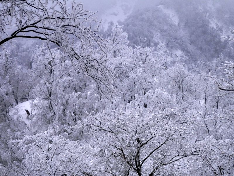 塔ノ岳に向かって