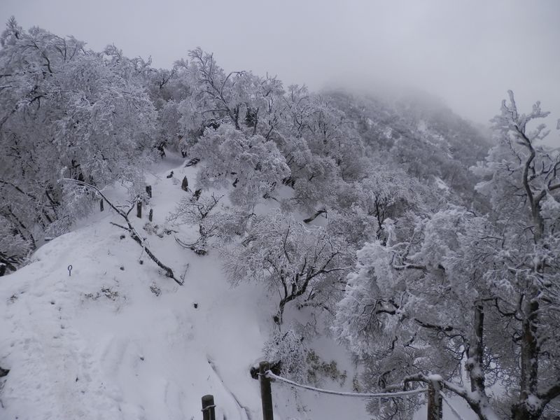 塔ノ岳は目の前に