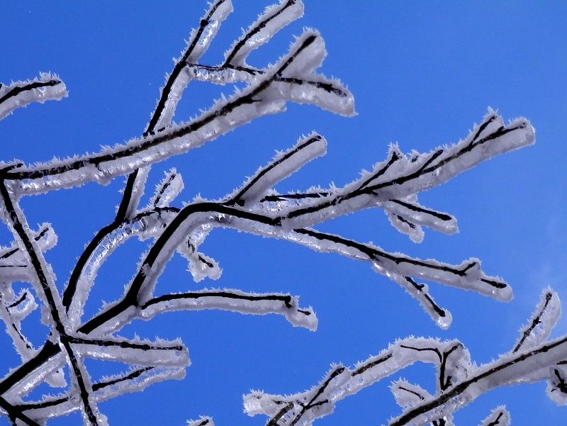 細かい結晶が融けると