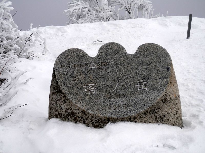 塔ノ岳の石の山頂標