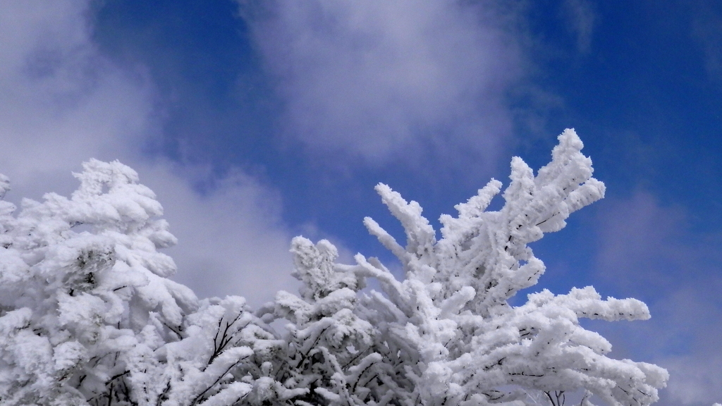 塔ノ岳の上空を駆け足で通り過ぎた青い窓