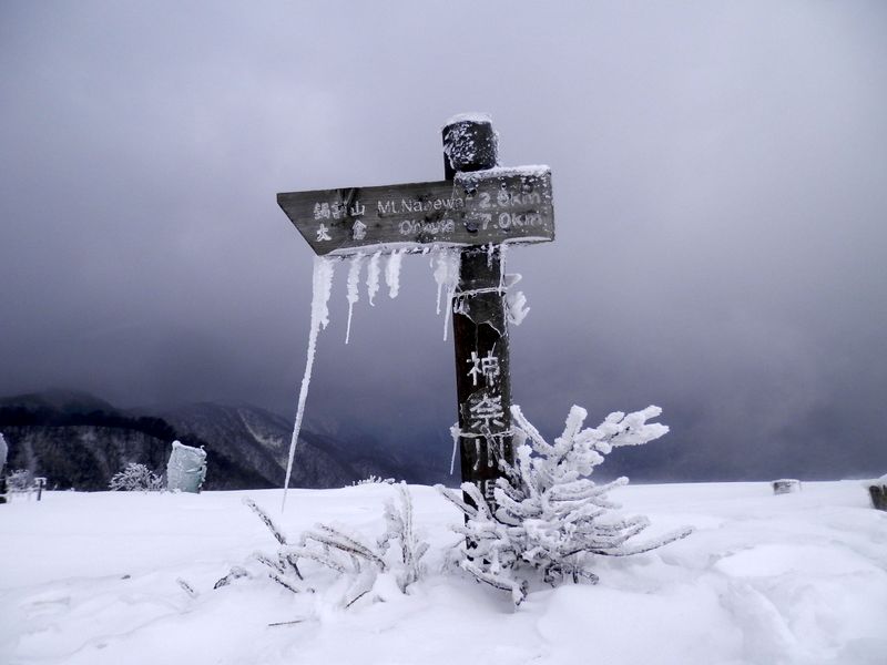 また来る日まで