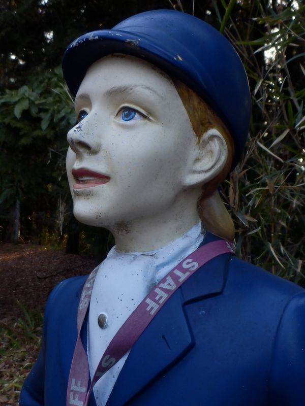 丹沢クリステルはかなり傷んでいる