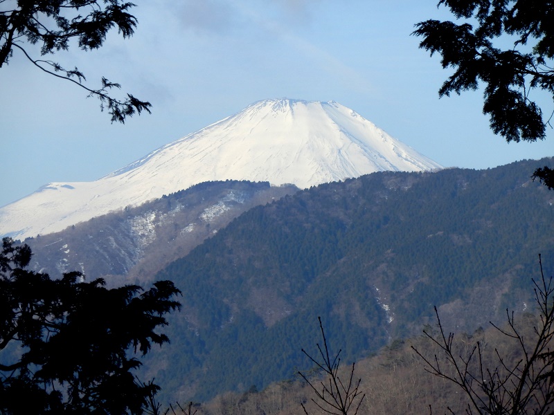 大倉尾根のハイウェイ区間