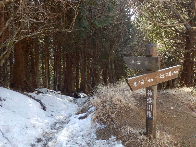 天神尾根分岐
